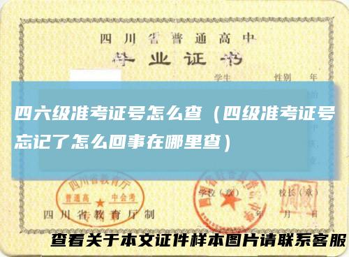 四六级准考证号怎么查(四级准考证号忘记了怎么回事在哪里查)