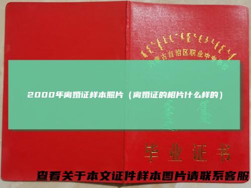 2000年离婚证样本照片（离婚证的相片什么样的）