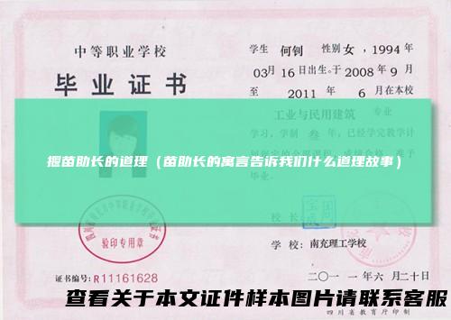 揠苗助长的道理（苗助长的寓言告诉我们什么道理故事）