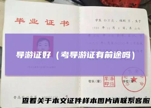 导游证好（考导游证有前途吗）