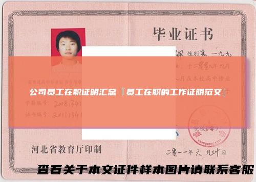 公司员工在职证明汇总『员工在职的工作证明范文』