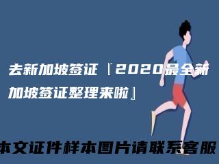 去新加坡签证『2020最全新加坡签证整理来啦』