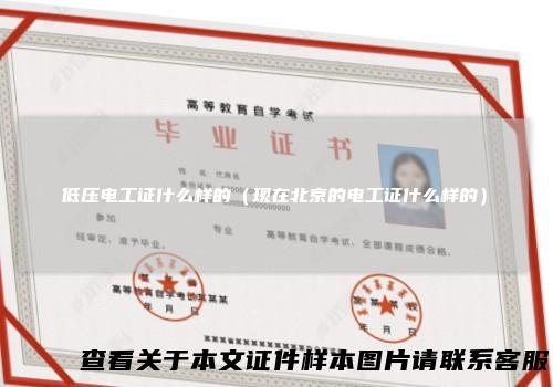 低压电工证什么样的(现在北京的电工证什么样的)