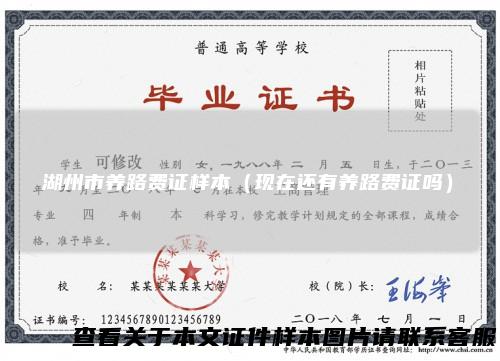 湖州市养路费证样本(现在还有养路费证吗)