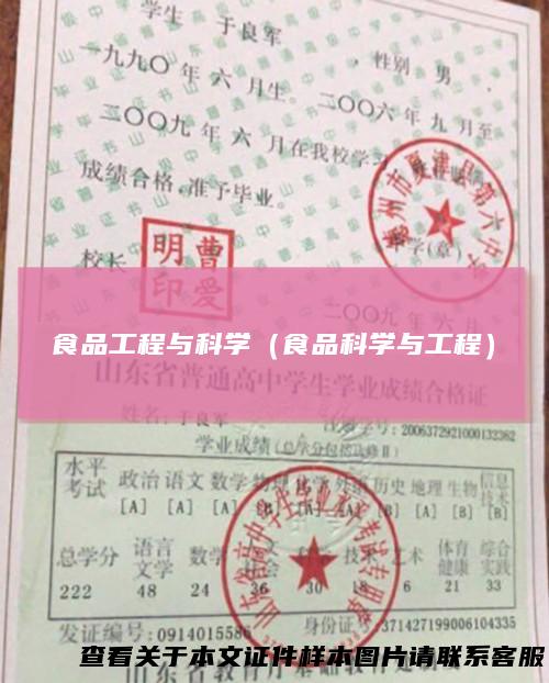 食品工程与科学（食品科学与工程）