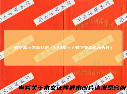 数学高三怎么补啊（已经高三了数学要怎么从头补）