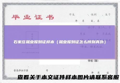 石家庄就业报到证样本（就业报到证怎么辨别真伪）