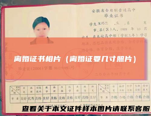 离婚证书相片（离婚证要几寸照片）