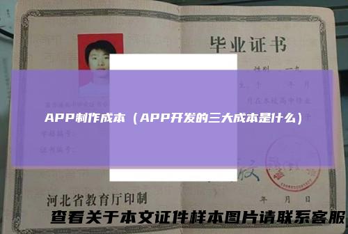 APP制作成本(APP开发的三大成本是什么)