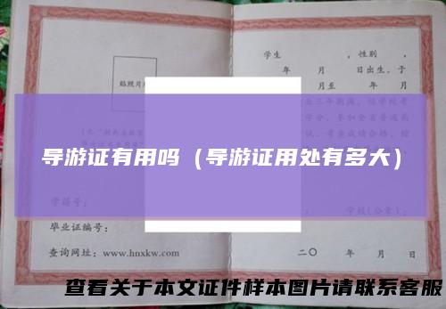 导游证有用吗（导游证用处有多大）