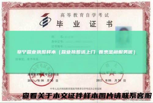 阜宁营业执照样本（营业执照送上门 普惠金融服务优）