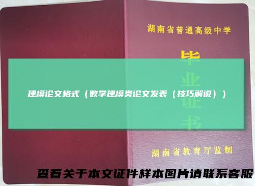 建模论文格式（数学建模类论文发表（技巧解说））