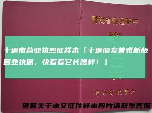 十堰市营业执照证样本『十堰颁发首张新版营业执照，快看看它长啥样！』