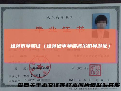 桂林市导游证（桂林涉事导游被吊销导游证）