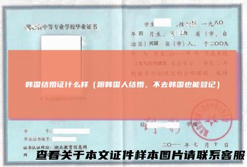韩国结婚证什么样（跟韩国人结婚，不去韩国也能登记）
