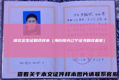 湖北出生证翻译样本（海历阳光辽宁证书翻译盖章）
