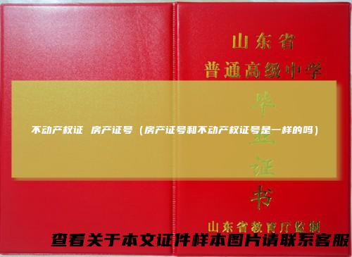 不动产权证房产证号（房产证号和不动产权证号是一样的吗）