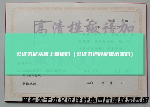 公证书能从网上查询吗（公证书造假能查出来吗）