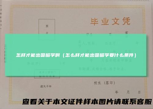 怎样才能出国留学啊(怎么样才能出国留学要什么条件)
