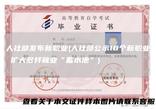 人社部发布新职业(人社部公示18个新职业扩大多样就业“蓄水池”)