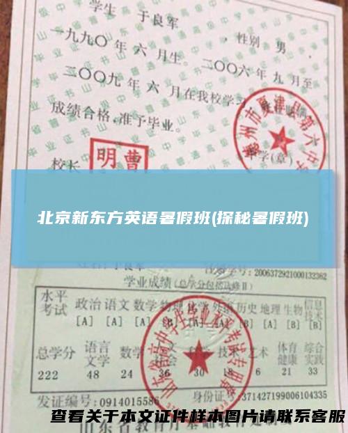 北京新东方英语暑假班(探秘暑假班)