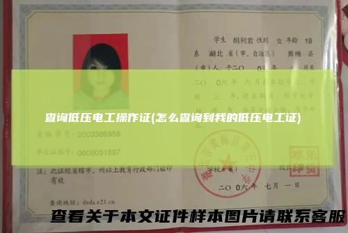 查询低压电工操作证(怎么查询到我的低压电工证)