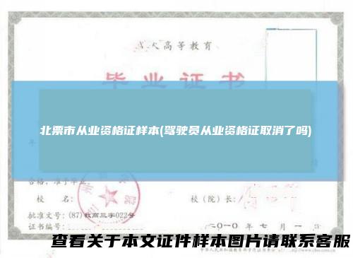 北票市从业资格证样本(驾驶员从业资格证取消了吗)
