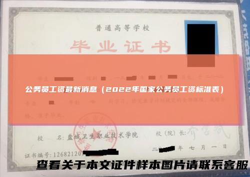 公务员工资最新消息（2022年国家公务员工资标准表）