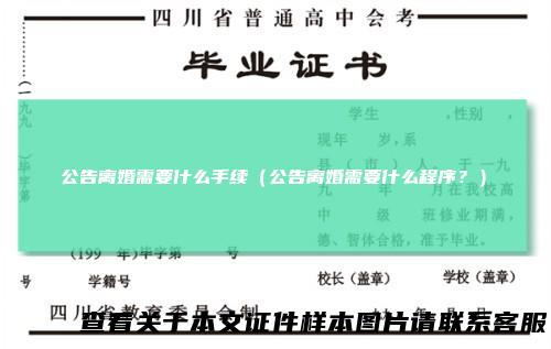 公告离婚需要什么手续（公告离婚需要什么程序？）