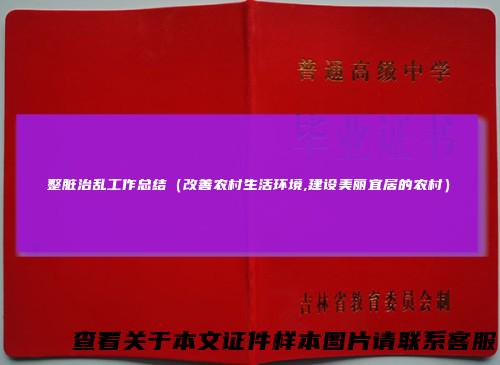 整脏治乱工作总结（改善农村生活环境,建设美丽宜居的农村）