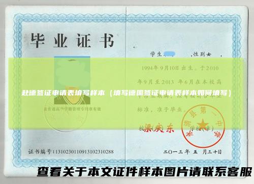 赴德签证申请表填写样本（填写德国签证申请表样本如何填写）
