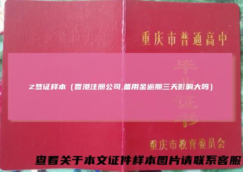 Z签证样本(香港注册公司,备用金逾期三天影响大吗)
