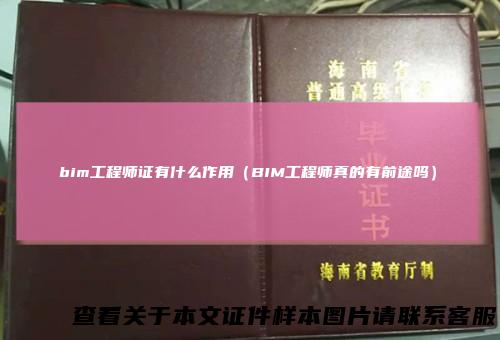 bim工程师证有什么作用(BIM工程师真的有前途吗)