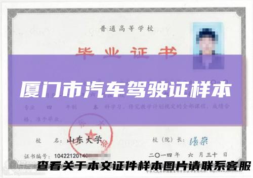 厦门市汽车驾驶证样本