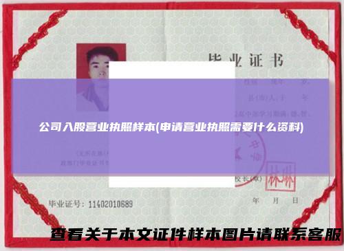 公司入股营业执照样本(申请营业执照需要什么资料)