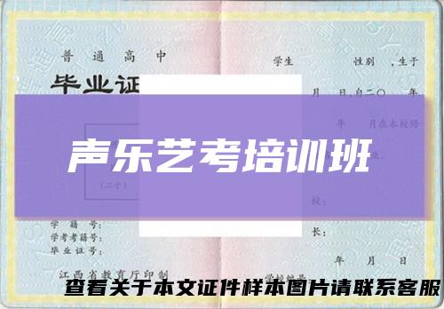 声乐艺考培训班