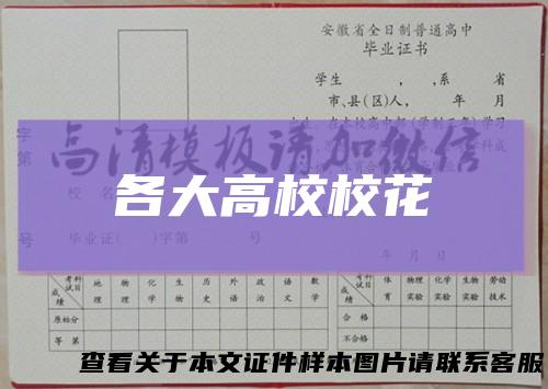 各大高校校花