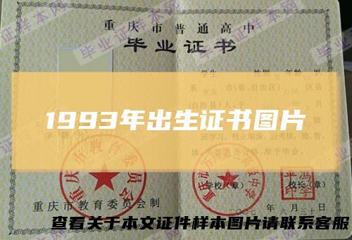 1993年出生证书图片
