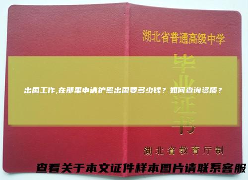 出国工作,在那里申请护照出国要多少钱？如何查询资质？