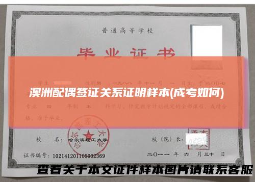 澳洲配偶签证关系证明样本(成考如何)