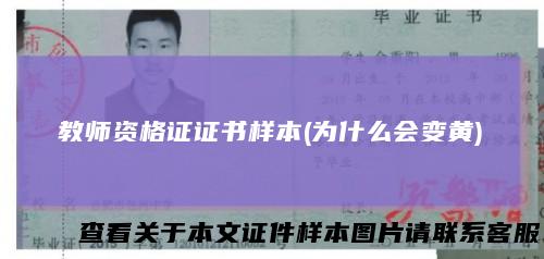 教师资格证证书样本(为什么会变黄)