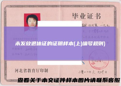 未发放退休证的证明样本(上)编号规则)