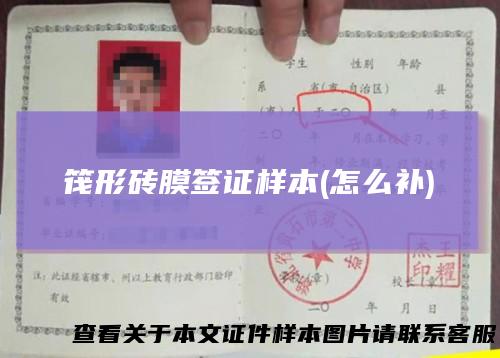筏形砖膜签证样本(怎么补)
