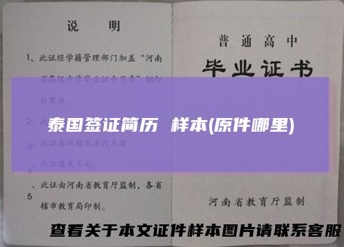 泰国签证简历样本(原件哪里)