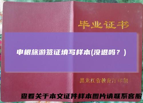 申根旅游签证填写样本(没退吗？)