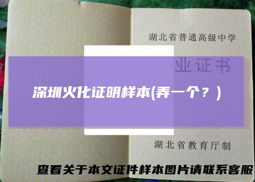 深圳火化证明样本(弄一个？)