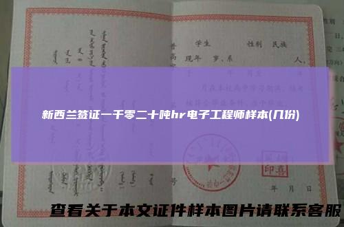 新西兰签证一千零二十吨hr电子工程师样本(几份)