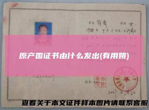 原产国证书由什么发出(有用姚)