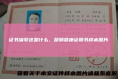 证书编号这是什么，昆明健康证明书样本图片