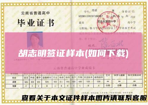 胡志明签证样本(如何下载)
